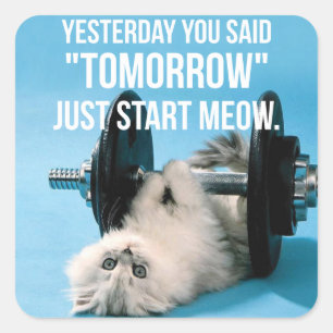 Workout Funny Motivation - Cat - Start Meow Square Sticker