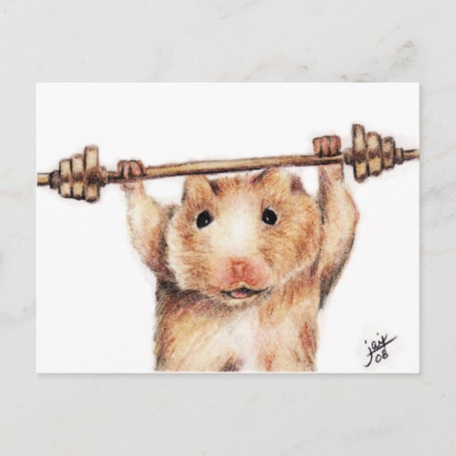 Workout (Hamster) Postcards (Front)