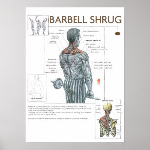 Workout Motivational Poster