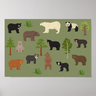 World Bears Poster