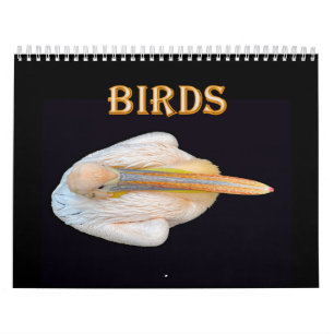 world birds calendar