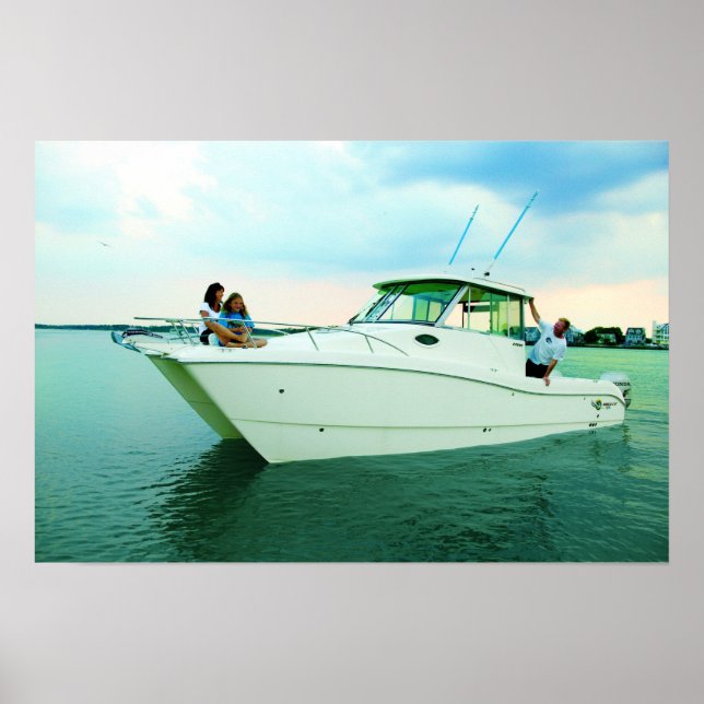 World Cat 270EC Poster (Front)