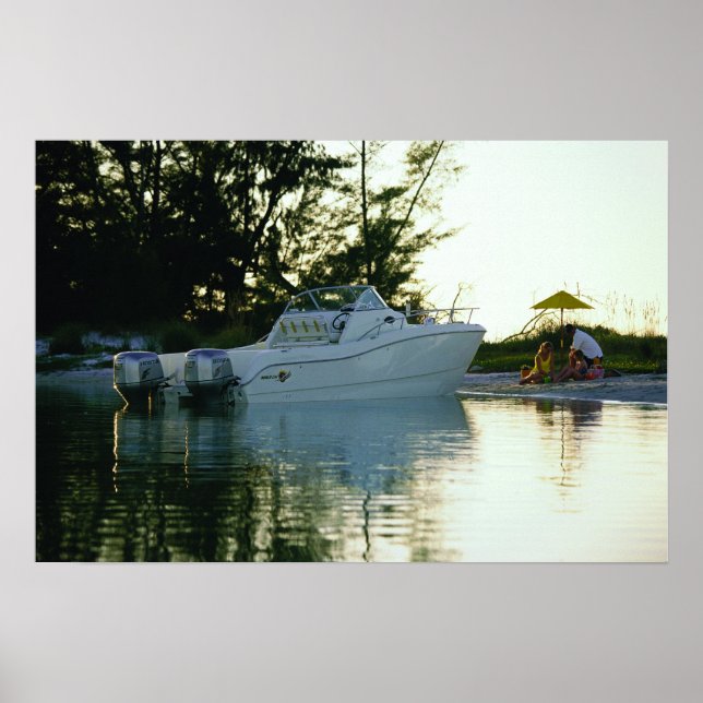 World Cat 270SC  Poster (Front)