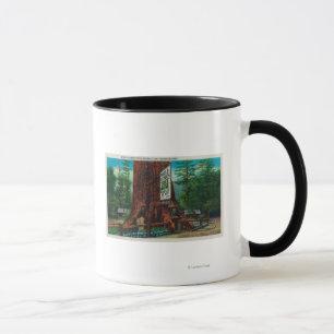 World Famous Tree House, Lilley Redwood Park Mug