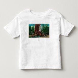 World Famous Tree House, Lilley Redwood Park Toddler T-Shirt