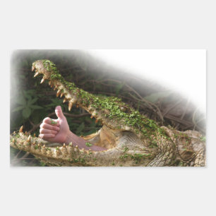 world hide & seek champion rectangular sticker