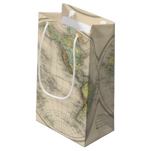World hypsometric maps small gift bag