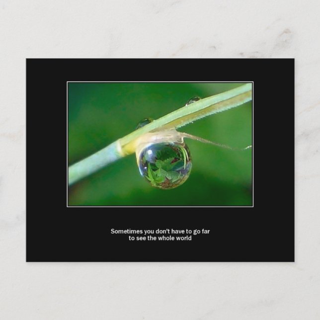 World in a droplet postcard (Front)