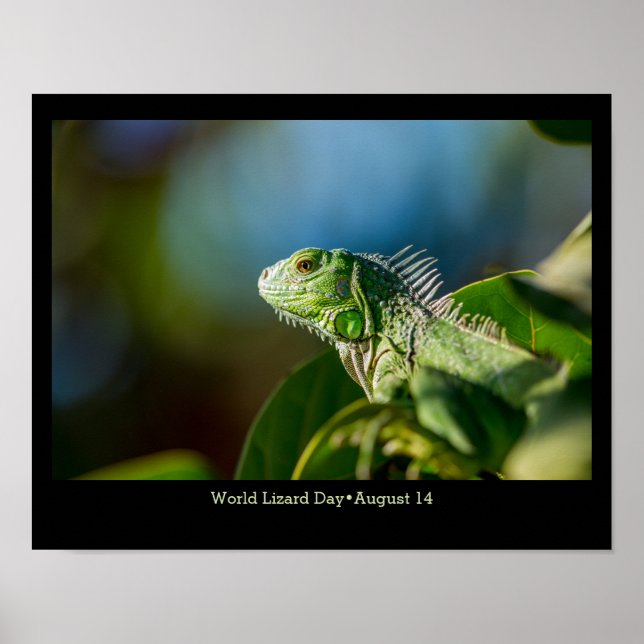 World Lizard Day, iguana Poster (Front)