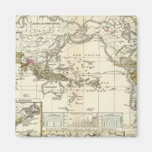 World Map of Diseases Magnet