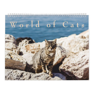 World of Cats Calendar