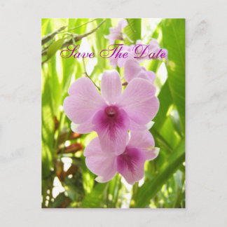 World Of Our Own Save The Date Announcement Postcard