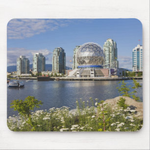 World of Science, Vancouver, British Columbia, Mouse Mat