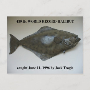 World Record Halibut caught in Dutch Harbour, AK Postcard
