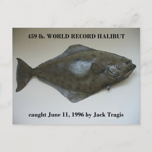 World Record Halibut caught in Dutch Harbour, AK Postcard (Front)