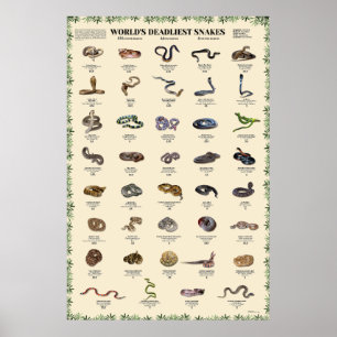 World’s deadliest snakes poster