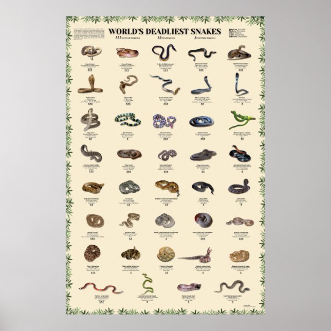 World’s deadliest snakes poster (Front)
