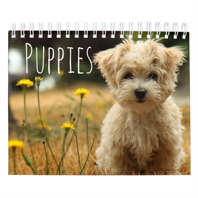 World’s Most Beautiful  Puppies Calendar (Cover)