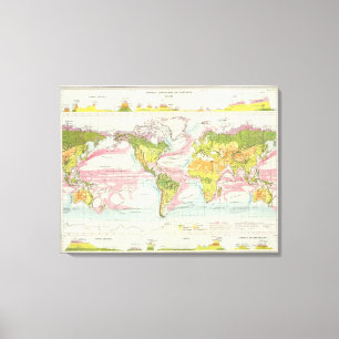 World vegetation & ocean currents Map Canvas Print