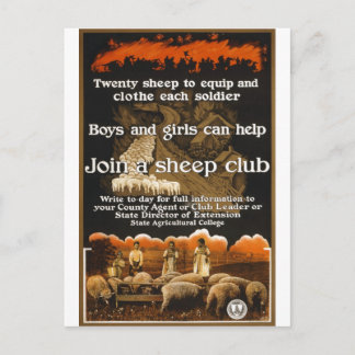 World War 1 Sheep Poster Advertisement Postcard