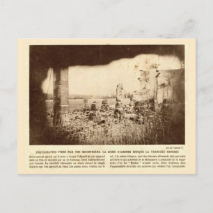 World War I, France, Trees mark enemy trenches Postcard