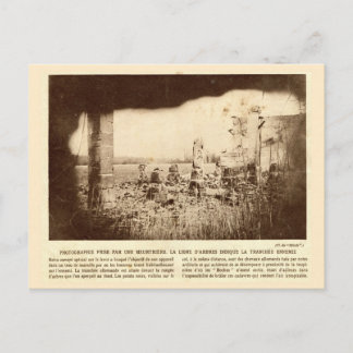 World War I, France, Trees mark enemy trenches Postcard