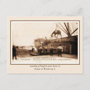 World War I landing of British horses in France Postcard