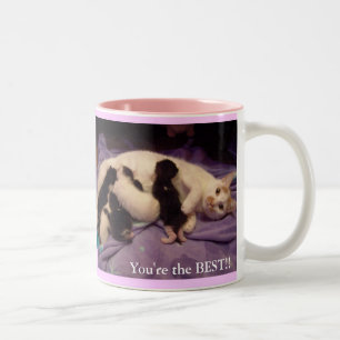 Worlds best babysitter!!! Two-Tone coffee mug