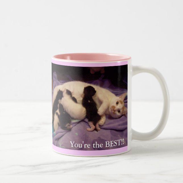 Worlds best babysitter!!! Two-Tone coffee mug (Right)