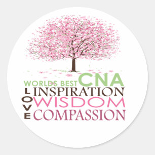 World's Best CNA Gifts Classic Round Sticker