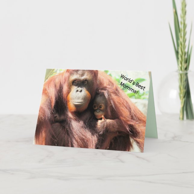 World's Best Mum - Orangutan Mother's Day Card (Front)