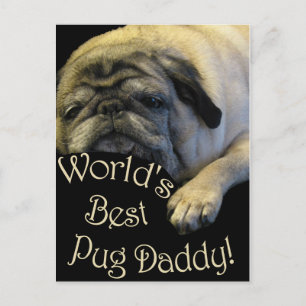 World's Best Pug Daddy Postcard