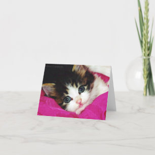 Worlds Cutest Kitten Card