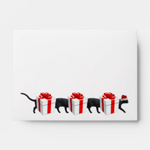World's Longest Cat Envelope