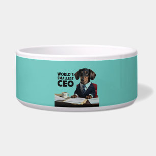 World's smallest CEO, cute funny dachshund in suit