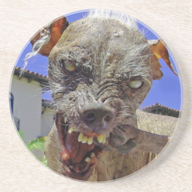 World's Ugliest Dog Coaster (Front)