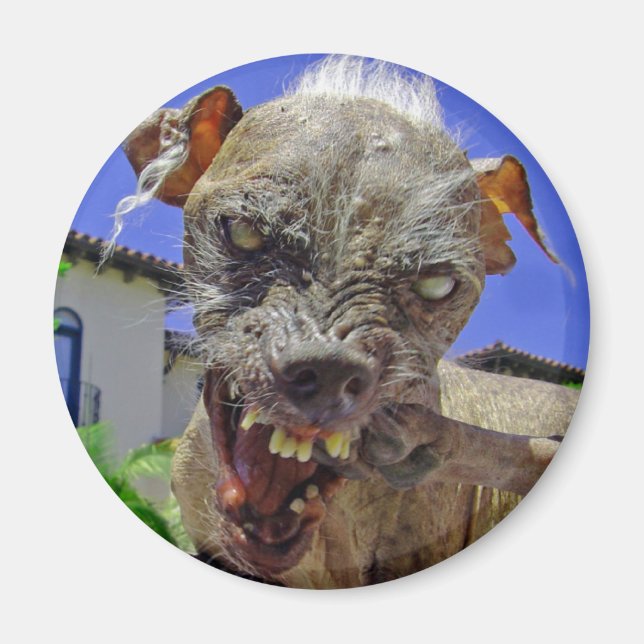 World's Ugliest Dog Magnet (Front)
