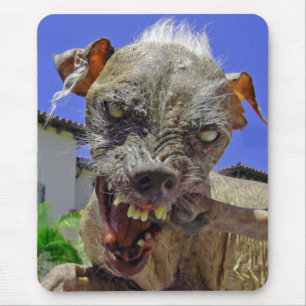 World's Ugliest Dog Mouse Mat