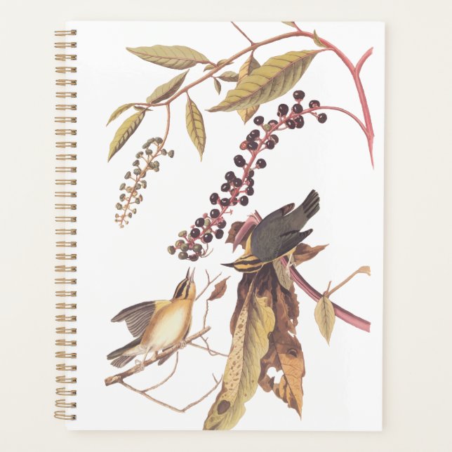 Worm-Eating Warbler Audubon songbird Planner (Front)