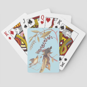 Worm-Eating Warbler Audubon songbird Playing Cards