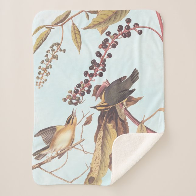 Worm-Eating Warbler Audubon songbird Sherpa Blanket (Front)