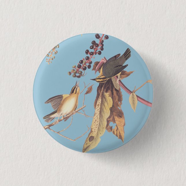 Worm-Eating Warbler Bird Round Button (Front)