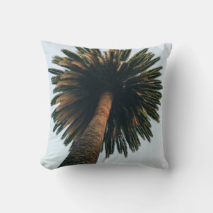 Worm eye photography of palm tree cushion