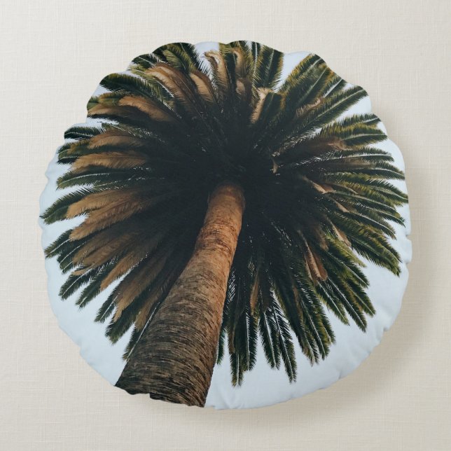 Worm eye photography of palm tree round cushion (Front)
