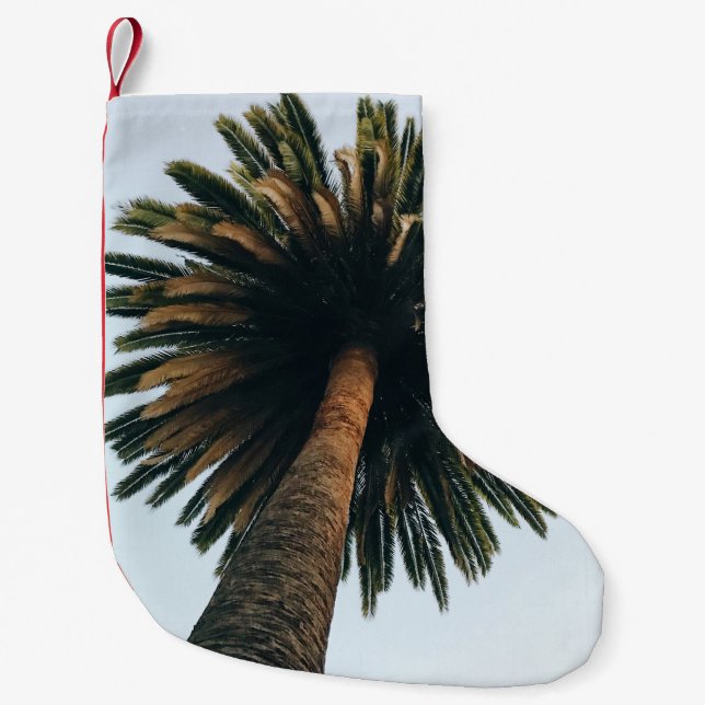Worm eye photography of palm tree small christmas stocking (Front)