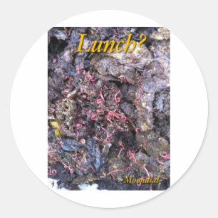 Worm Feast Classic Round Sticker