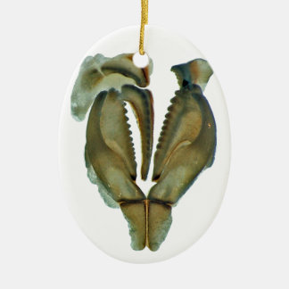 Worm Jaw Oval Christmas Ornament