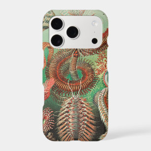 Worms, Annelids Chaetopoda by Ernst Haeckel