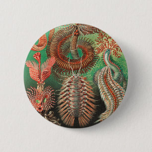 Worms, Annelids Chaetopoda by Ernst Haeckel 6 Cm Round Badge