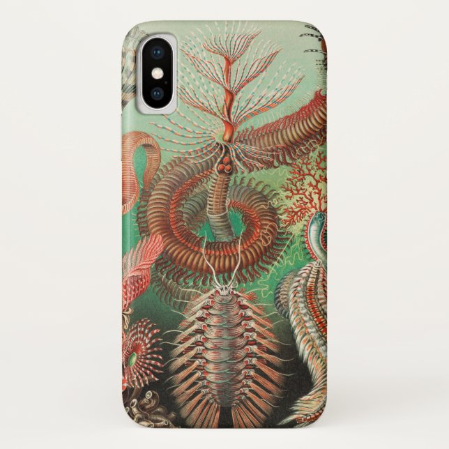 Worms, Annelids Chaetopoda by Ernst Haeckel Case-Mate iPhone Case (Back)